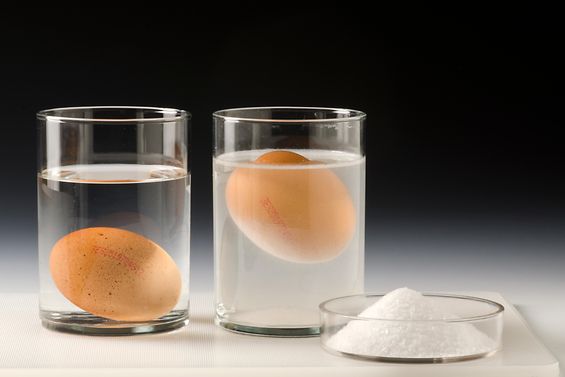 Versuch mit Eiern in Flüssigkeiten verschiedener Dichte