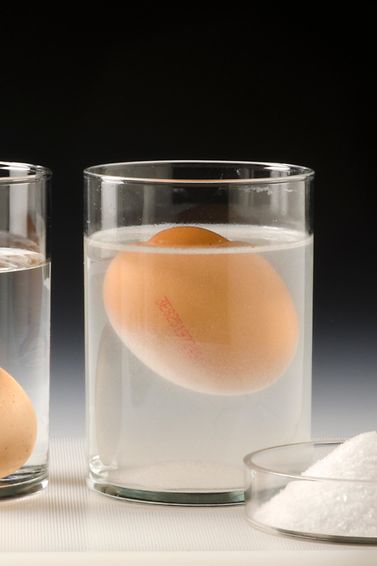 Versuch mit Eiern in Flüssigkeiten verschiedener Dichte