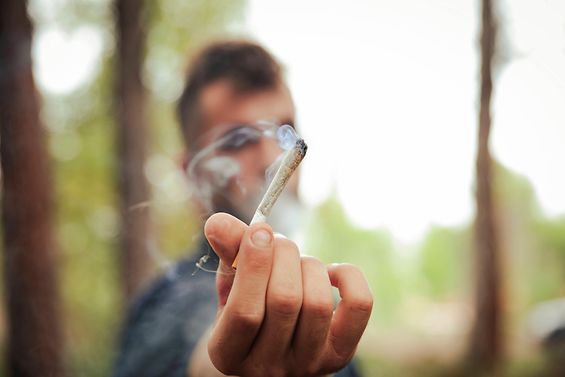 Suchtprävention - ein Mann reicht einen rauchenden Joint in die Kamera