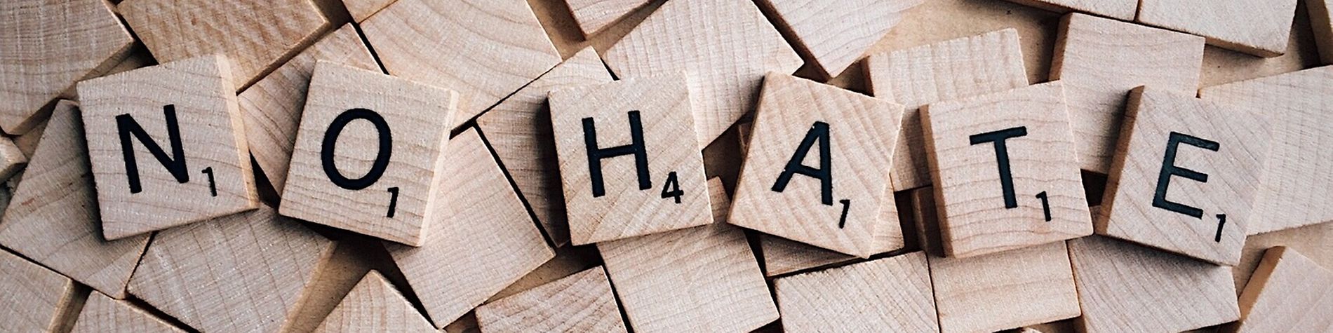 Holzbuchstaben bilden das Wort No Hate.