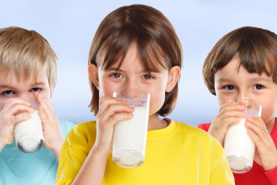 Bild EU Schulprogramm Trinkmilch