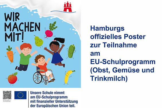 Bild Poster EU Schulprogramm